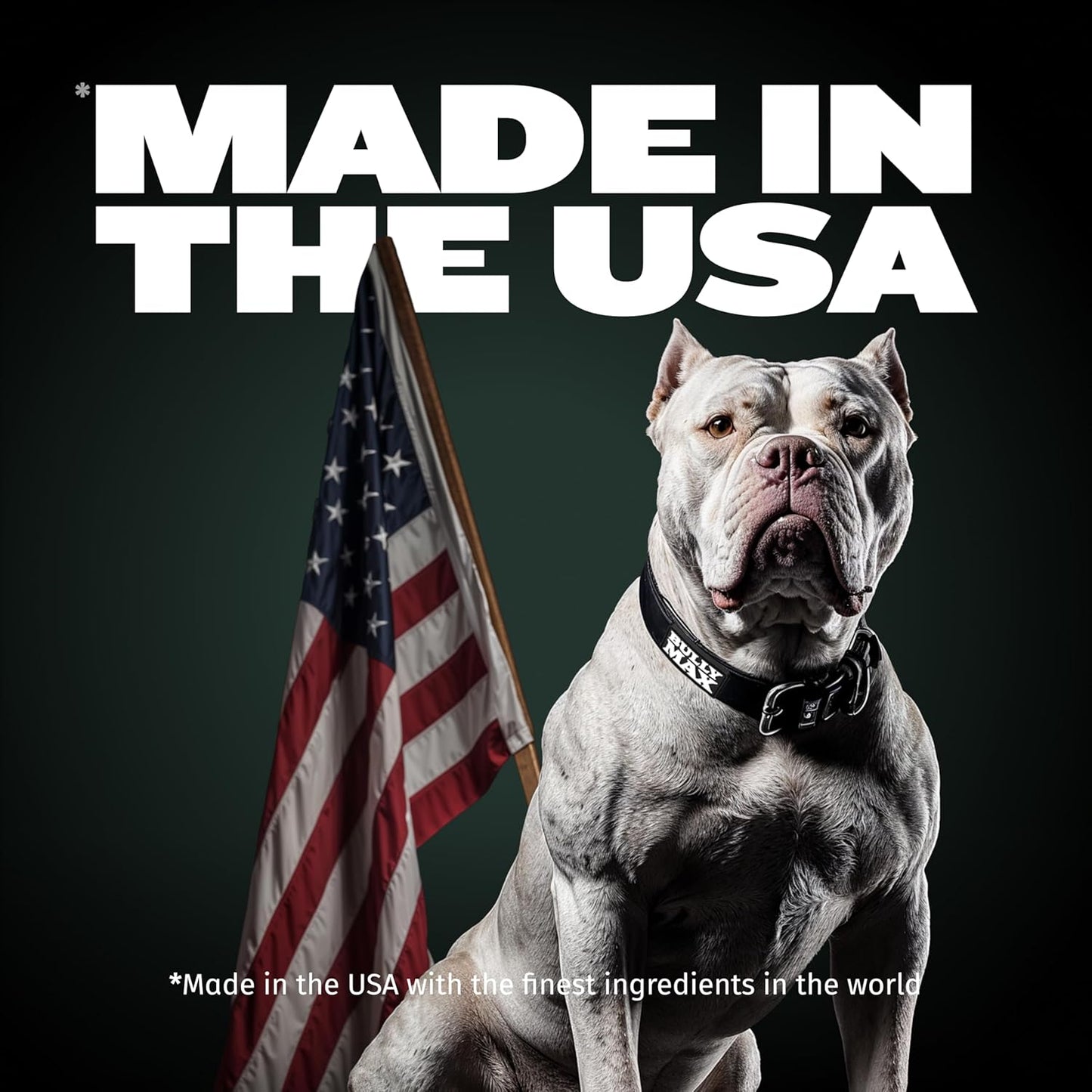 High Performance Super Premium Dog Food (15 Lbs.)